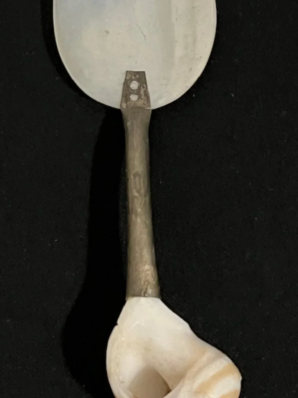 Vintage Mother of Pearl Caviar Serving Spoon Silverplate Sea Shell Handle